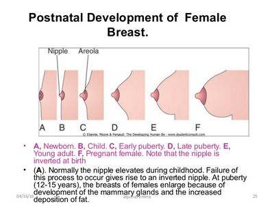 Causes of Inverted Nipples After Breastfeeding with the nipple