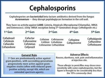 Ceftriaxone Side Effects and Cephalosporine Antibiotics You should also avoid getting