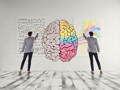 The Difference Between Dominant Left Brain Students and Dominant Right Brain Learners many variations of the